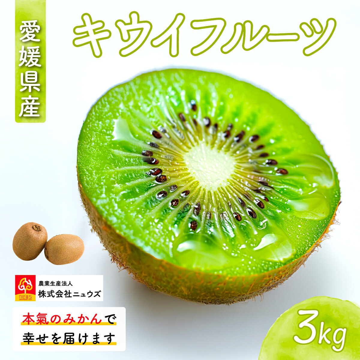 【ふるさと納税】【先行予約】キウイフルーツ（生果）3kg（2026年11月上旬より順次発送） 【 ふるさと納税 人気 おすすめ ランキング キウイ キウイフルーツ フルーツ 果物 産地直送 ニュウズ 愛媛県産 愛媛県 伊方町 送料無料 】 IKTF024