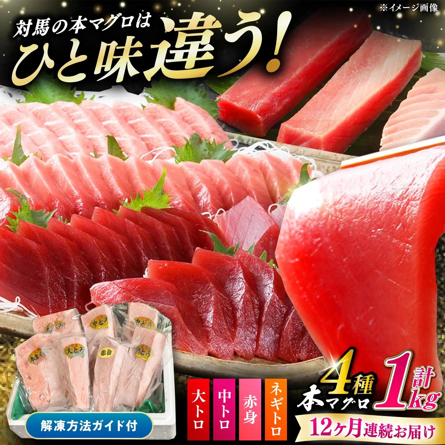 【全12回定期便】対馬産 本マグロ 4種 計1kg（赤身 中トロ 大トロ ネギトロ） [WAH008] マグロ まぐろ 本まぐろ トロ 定期便