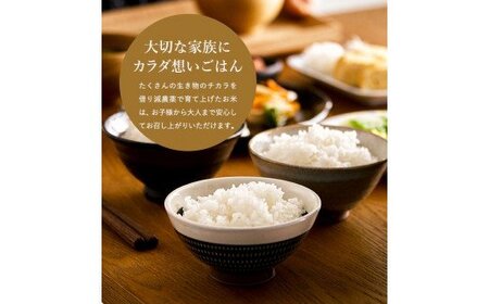 【令和5年産】コウノトリ育むお米減農薬【2kg×4袋】（94-003）