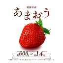 【ふるさと納税】福岡県産 あまおう 選べる容量 約600(300g×2P) or 約1.4kg(280g×5P) いちご フルーツ 果物 旬 イチゴ 苺 福岡県産 送料無料 2Z1