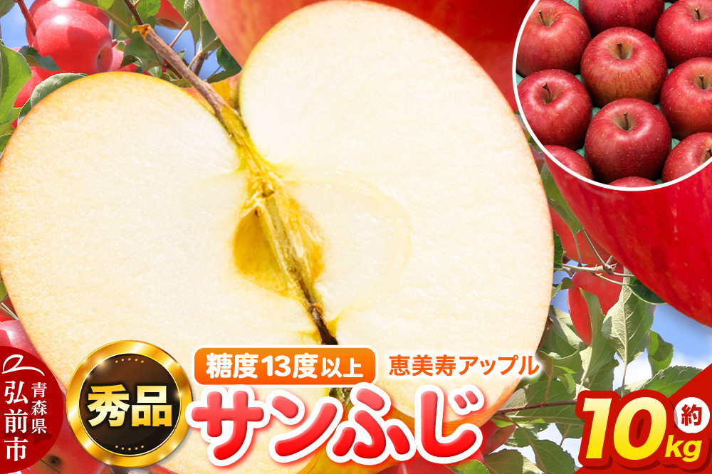 【25年12月～発送】りんご 【糖度13度以上】サンふじ 約10kg 【秀品】 青森県 フルーツ 果物