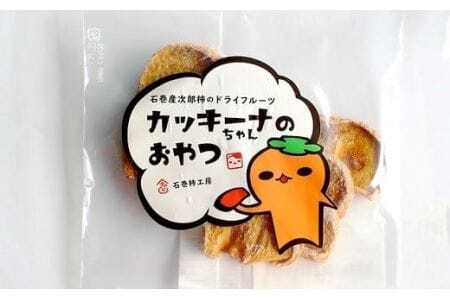 次郎柿 まるごとセット 豊橋石巻町 柿
