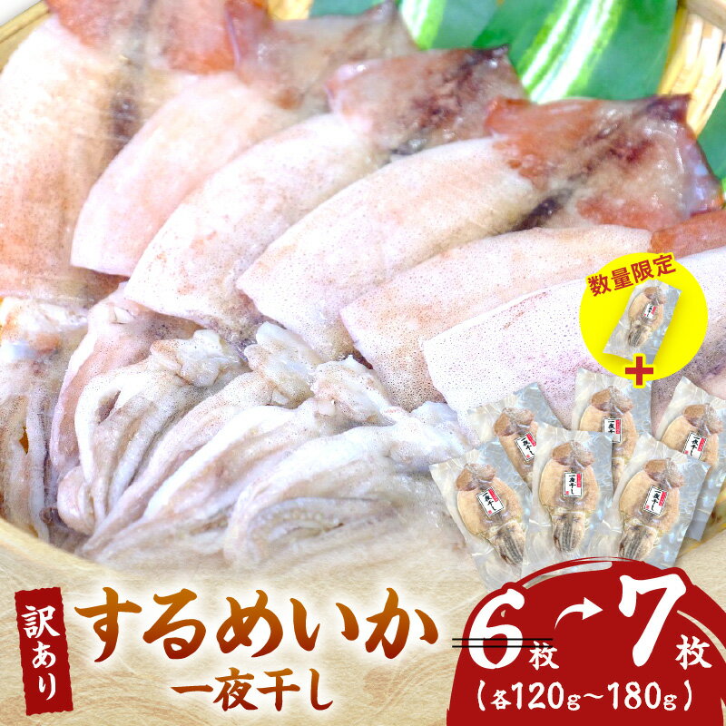 【ふるさと納税】【レビューCP対象】【生活応援品】【訳あり】するめいか一夜干し（120g〜180gx7枚） 魚介類 いか するめいか 一夜干し 加工品 おつまみ 訳あり ふるさと納税 するめいか 【136_1967】