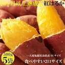 【ふるさと納税】さつまいも 熟成 紅はるか 2.5kg ( 500g × 5袋 ) SSサイズ 鹿児島県産 先行予約 2025年1月より順次発送 | 野菜 やさい 食品 人気 おすすめ 送料無料 感動さつまいも