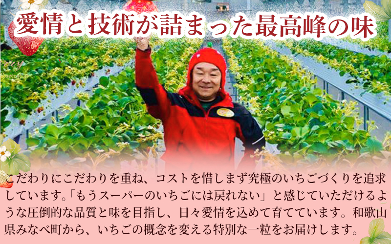 【体験】 【開催期間 2027年1月1日～5月7日】 オリジナルいちごと人気ブランドいちごの食べ比べ いちご狩り体験チケット ( 5名様分) ＋お土産いちご5パック付き【maato010】