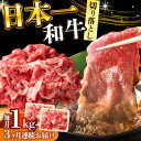 【ふるさと納税】【全3回定期便】【A4〜A5】長崎和牛切り落とし　1kg(500g×2p）【株式会社 MEAT PLUS】[DBS054]