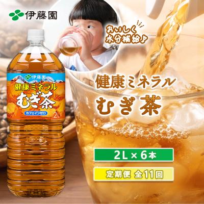 ふるさと納税 恵庭市 『定期便:全11回』健康ミネラルむぎ茶2L×6本【50001401】