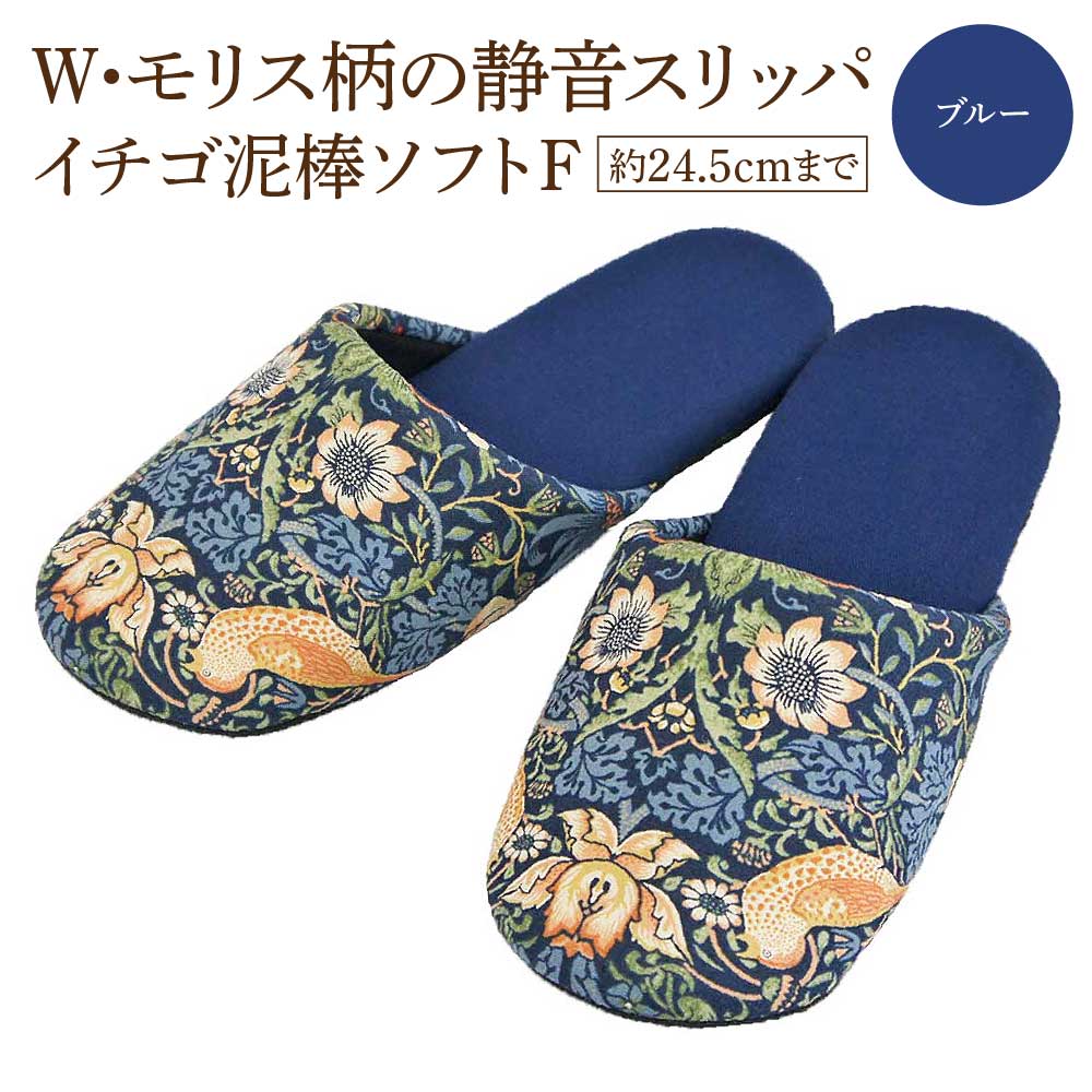 いちご泥棒ソフトF（約24.5cmまで） ブルー　【04301-0590-4】