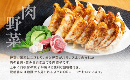 飛騨牛冷凍餃子 3箱セット（にんにく味）| 餃子の合計はたっぷり36個！ おいしく焼ける調理説明書付き 餃子 飛騨牛 おいしい 簡単 人気 飛騨高山 餃子工房らん NL003