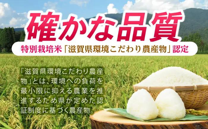 低農薬栽培 ミルキークイーン 白米10kg[AQBL020] 白米