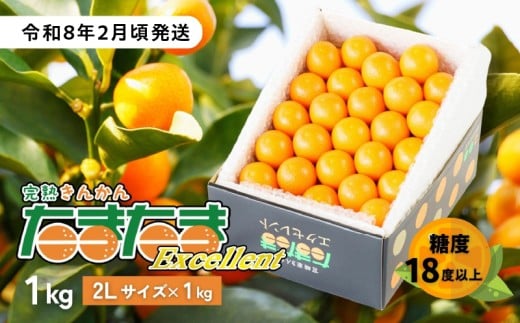 完熟きんかん たまたまエクセレント 1kg | 果物 フルーツ デザート スイーツ きんかん きんかんたまたま 完熟 宮崎県産 国産 宮崎産 贈答 贈り物 ギフト プレゼント ブランド 柑橘 柑橘系 柑橘類 おやつ グルメ お取り寄せ 宮崎県 高千穂町 |_Tk004-051