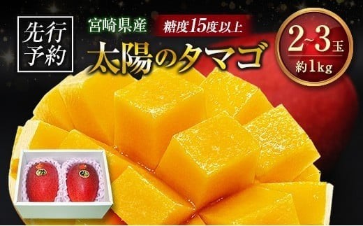 
                  ≪先行予約≫ 宮崎県産 完熟マンゴー「太陽のタマゴ」約1kg 計2～3玉 2026年発送 ブランド 南国 トロピカル フルーツ 果物 くだもの 化粧箱入り
                