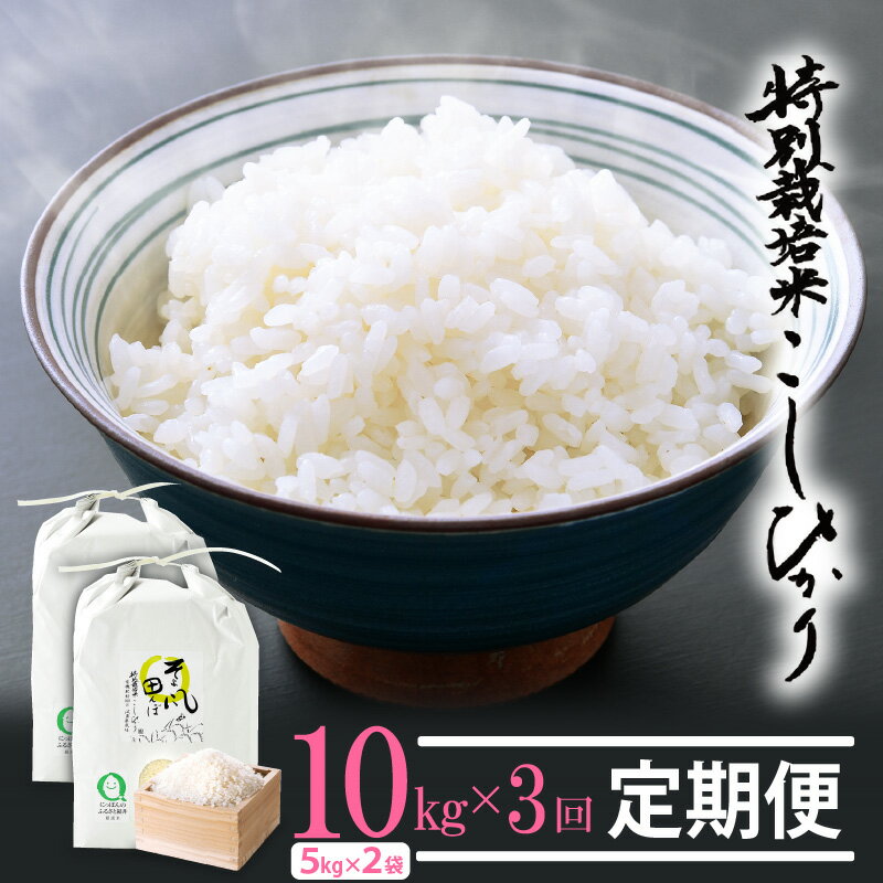 【ふるさと納税】新米 令和7年産 米 定期便 ≪3ヶ月連続お届け≫ 特別栽培米 コシヒカリ 10kg × 3回 福井県産米（有機肥料100% 農薬7割減）【人気品種 こしひかり 計30キロ】 [e10-k001]
