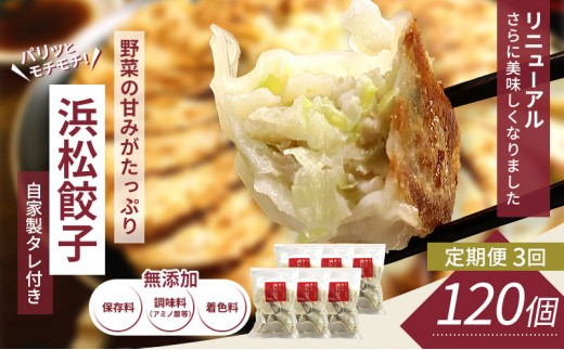 
                  【定期便3回】浜松餃子 120個 (20個×6袋) セット 詰め合わせ 餃子のたれ 小袋 知久屋 国産 ぎょうざ 餃子 ギョーザ 冷凍餃子 冷凍ギョーザ 工場直送 ヘルシー あっさり 惣菜 中華 点心 静岡 浜松市 【配送不可：離島】
                