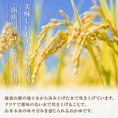 ふるさと納税 南魚沼市 【無地熨斗】南魚沼のコシヒカリ粥 おかゆ 白米 250g×12食 新潟県 南魚沼市 |  | 02