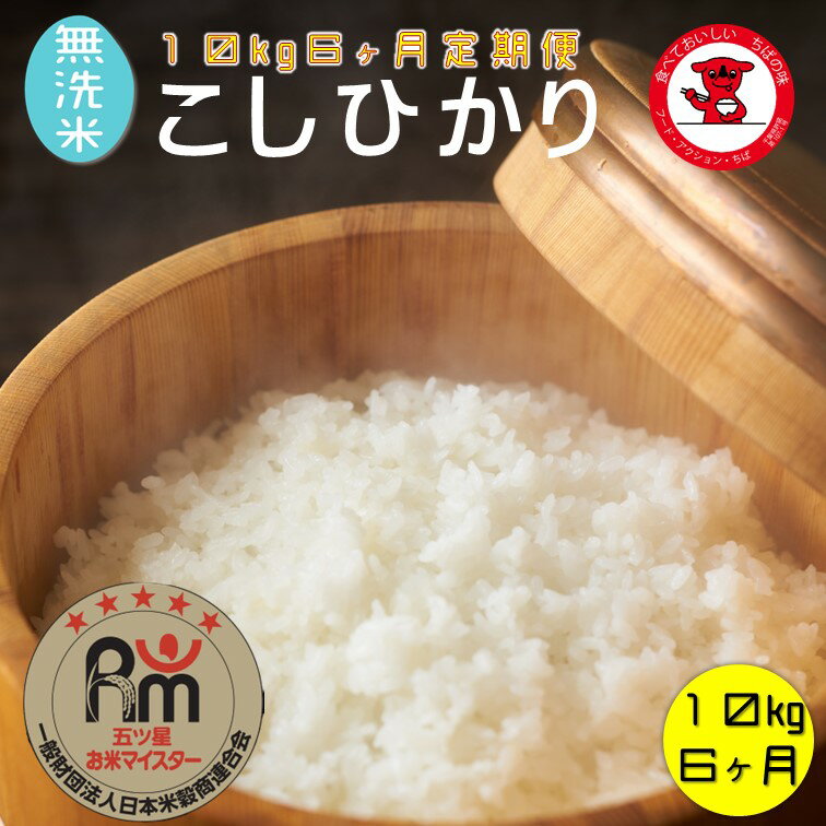 【ふるさと納税】 【定期便】 無洗米コシヒカリ 10kg 6ヶ月 一等米 【千葉県産】【お米マイスター厳選】【ご希望時期に発送】