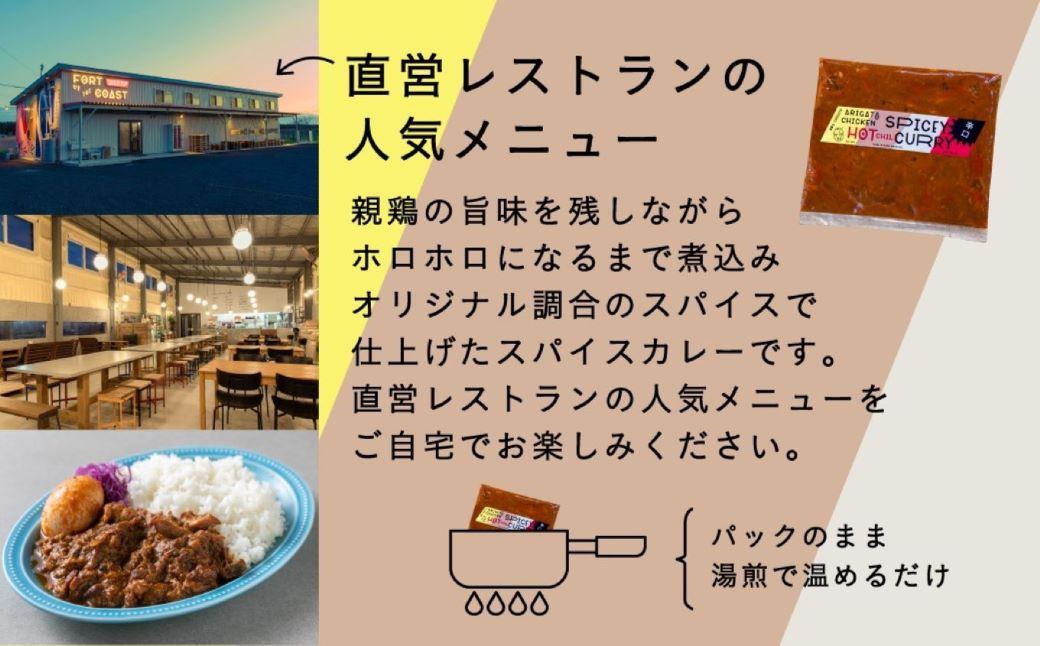 親鶏のスパイスカレー（辛口）＜10個セット＞