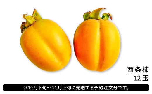 大玉サイズで、食べ応え十分な大玉西条柿をお楽しみください。