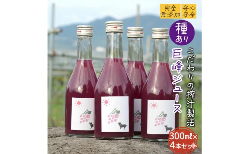 【完全無添加】【安心安全】【こだわりの搾汁製法】種あり巨峰ジュース300ml×4本セット【栽培期間中 除草剤・ネオニコチノイド系農薬・化学肥料不使用】 果実飲料 フルーツジュース 飲み物 グレープジュース