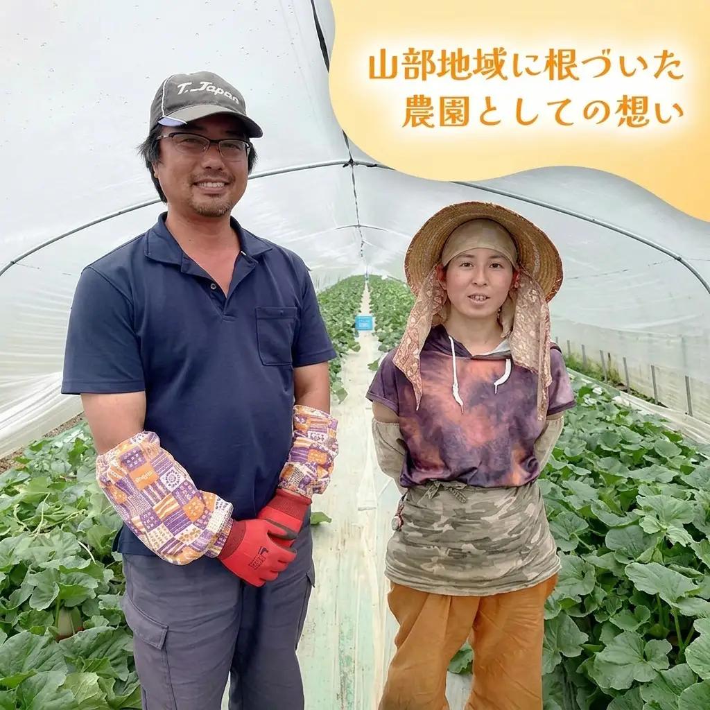 赤肉メロン 糖度15度以上 富良野産 赤肉メロン【8kg 1箱】