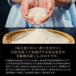 [先行予約] R7年産 関川村産こしひかり5kg ふっくら美味しさ 岩船米 [横山農産]【1638512】