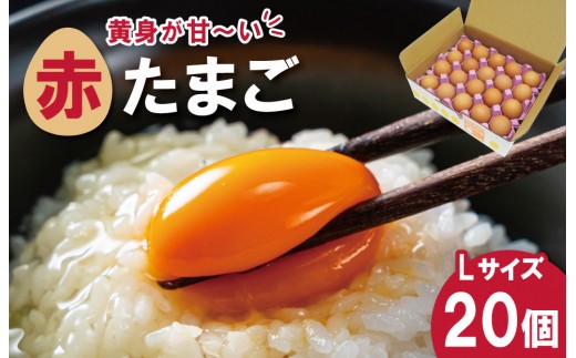 
                  新鮮たまご 赤玉 Lサイズ 20個 明和町 中村養鶏場 卵 たまご 生卵 生たまご 鶏卵 国産 濃厚 ny1
                