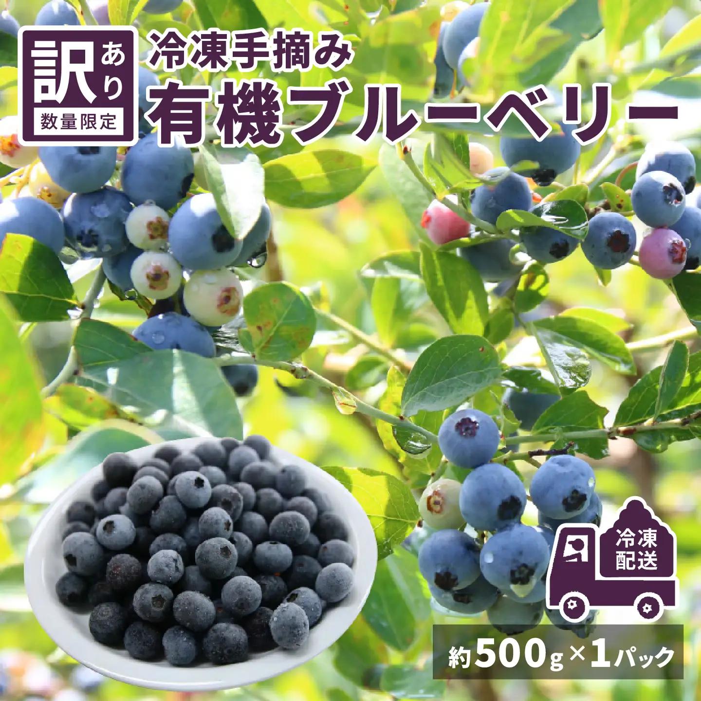 【訳あり】令和8年産〈冷凍〉手摘み有機ブルーベリー500g（500g × 1パック）果物 夏限定