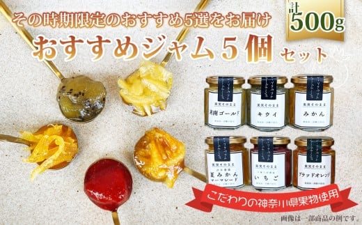 おすすめジャム5個セット ／ 柑橘 ママレード 苺 イチゴ キウイフルーツ 蜜柑 ブルーベリー ラズベリー 人気 加工食品 手作り 白砂糖不使用 ペクチン不使用 フルーツスプレッド コンフィチュール トッピング 詰め合わせ 食べ比べ 神奈川県産果物 神奈川県 No.089