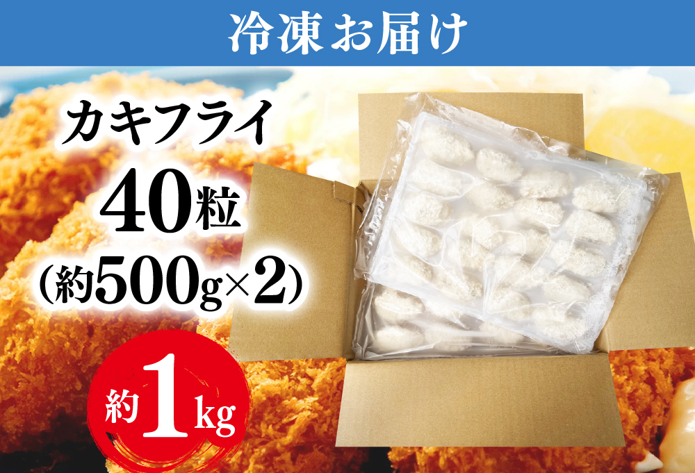 カキフライ 約1000g（約500g×2）40粒 牡蠣フライ かきフライ RZ002