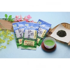 【毎月定期便】茶草場農法実践者の有機深むし煎茶100g×3本 全12回