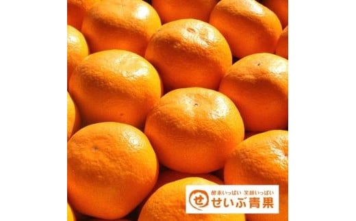 【2025年11月下旬頃より順次発送】興居島みかん 約6kg（L〜Sサイズ） 愛媛 みかん 柑橘 興居島 ごごしま ブランド  みかん 蜜柑 柑橘  フルーツ 愛媛県 松山市