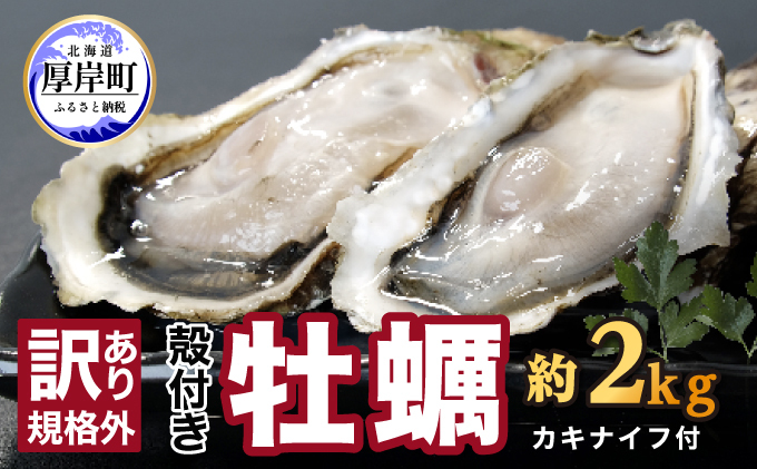 訳あり ハーフ 規格外 牡蠣 北海道厚岸産 殻付カキ 約2kg（11～25個）カキナイフ付 生食 魚貝類 生牡蠣 かき 生カキ カキフライ マルえもん いびつな形 四季によって違う味わい コクがあり濃厚 