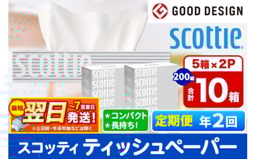 《6ヶ月ごとに2回お届け》定期便 ティッシュペーパー スコッティ 200組 10箱(5箱×2パック) ティッシュ 秋田市オリジナル