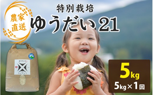 【先行予約】【令和8年産 新米】【農家直送】減農薬・化学肥料不使用 ゆうだい21 5kg×1袋（計5kg）【2026年10月より順次発送】 | お米 白米 ごはん ご飯 米 こめ 新米 ギフト プレゼント 内祝い 贈り物 国産 高品質 高級 南越前町 送料無料 福井 北陸