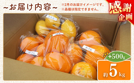 ＜笑丸のお楽しみ柑橘福袋（家庭用）約5kg＋500g＞感謝企画 自宅用 訳あり 果物 くだもの フルーツ ミカン みかん 蜜柑 高級柑橘 詰め合わせ 春柑橘 春みかん 夏柑橘 特産品 笑丸 愛媛県 西