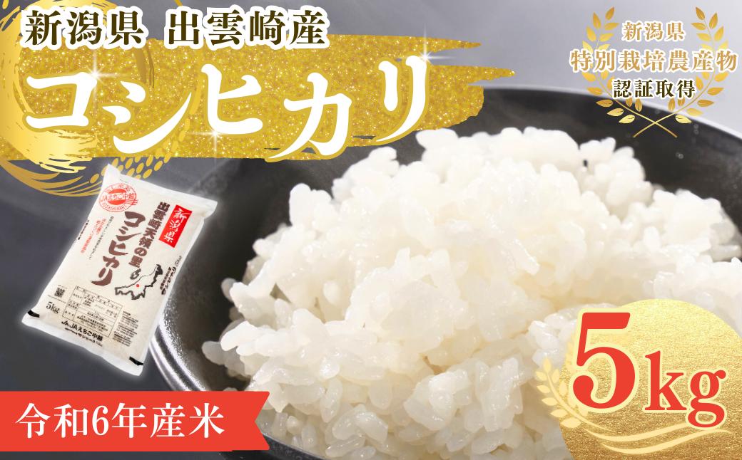 
            【1ヶ月以内発送・数量限定】令和6年産 コシヒカリ 特別栽培米 「天領の里」  5㎏ 新潟県産 出雲崎町産 白米 精米 お米 こしひかり
          