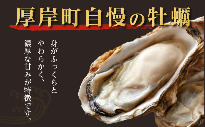 2026年2月発送 北海道 厚岸産 殻かき三種 食べ比べ セット 魚貝類 海鮮 海の幸 生牡蠣 生食用 オイスター 濃厚 弁天かき カキえもん マルえもん