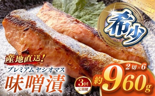 【定期便3回】「プレミアムヤシオマス」の味噌漬 2切入×6パック  [ 冷凍便 ] | 魚 ます 養殖 産地直送 栃木県 (毎月お届け）