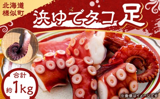 浜ゆでミズタコ足 1kg（200g×5袋）（ミズタコ)