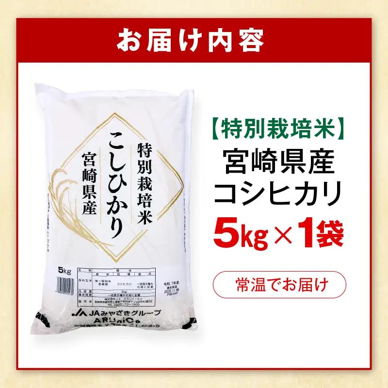 特別栽培米 宮崎県産コシヒカリ 5kg×1袋 米 お米 コシヒカリ 宮崎県産 5kg