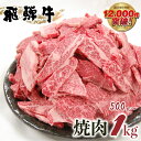 【ふるさと納税】年内お届け 年内配送 飛騨牛 焼肉 500g 1kg 発送月が選べる 訳あり 訳アリ 不揃い カルビ 牛肉 肉 お肉 バーベキュー BBQ 和牛 贈答 ギフト 焼き肉 切り落とし わけあり 規格外 ワケアリ14000円 25000円 おすすめ 人気 ランキング 岐阜県 白川村 [S201]