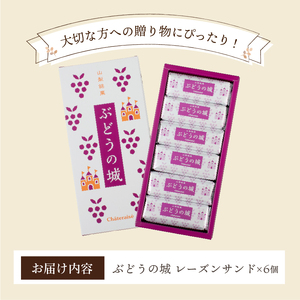 【シャトレーゼ】 山梨県 限定 レーズンサンド 6個 贅沢 2種 レーズン 使用