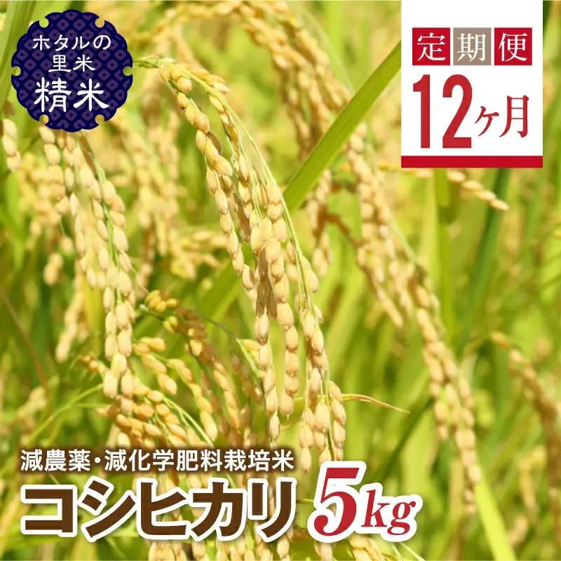  ＜定期便12ヶ月＞【ホタルの里米】環境に配慮し農薬を減らした栽培米 コシヒカリ精米5kg  F4D-2278