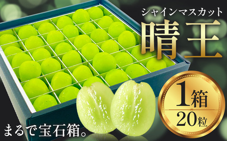 【2026年発送先行予約】シャインマスカット 晴王 20粒 シャイン マスカット《2026年9月中旬-10月中旬頃出荷予定》晴レ乃青果　(岡山中央卸売市場店(富士紙工 有限会社)) 送料無料 岡山県 浅口市 フルーツ 果物 国産 岡山県産 贈答用 【配送不可地域あり】