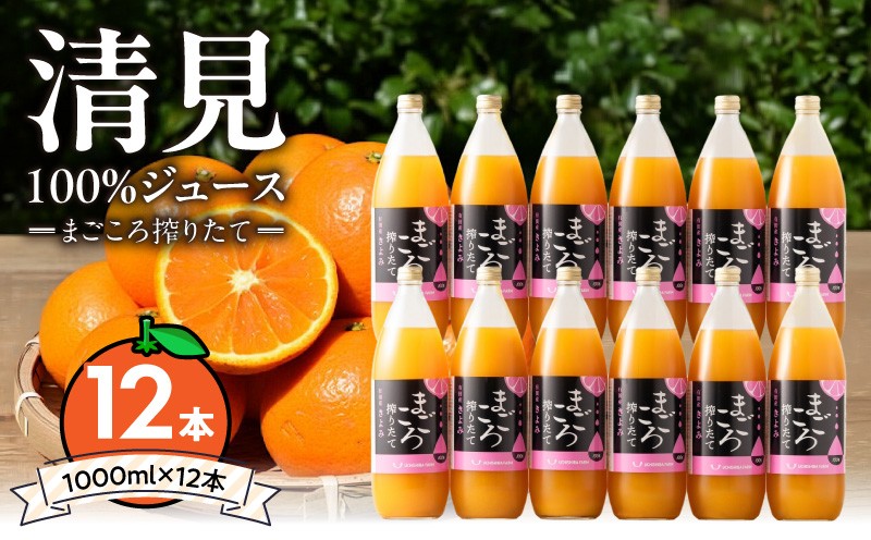 
                   搾りたて 清見100%ジュース 1000ml 12本 有田育ち 清見 清見オレンジ みかん あっさり 酸味 甘味 飲みやすい みかんジュース ジュース 飲料 常温 お取り寄せ 和歌山県 湯浅町 送料無料_ZE6523
                