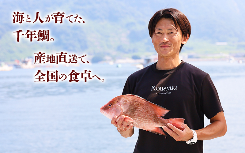 康秀の千年鯛 刺し身スライス 4皿