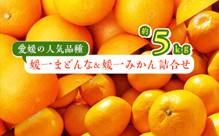 【2025年11月以降発送】「媛一みかん」と「媛一まどんな」の2品種・約5kg【C28-29】【1119673】