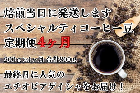 コーヒー 粉 定期便 4ヶ月 甘みたっぷり スペシャルティ  |  定期便