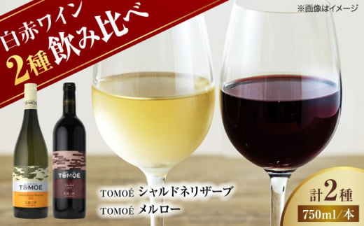 【お歳暮対象】TOMOEワイン2本セット D ワイン 受賞 飲み比べ ワインセット ギフト 三次市/広島三次ワイナリー[APAZ026-999]