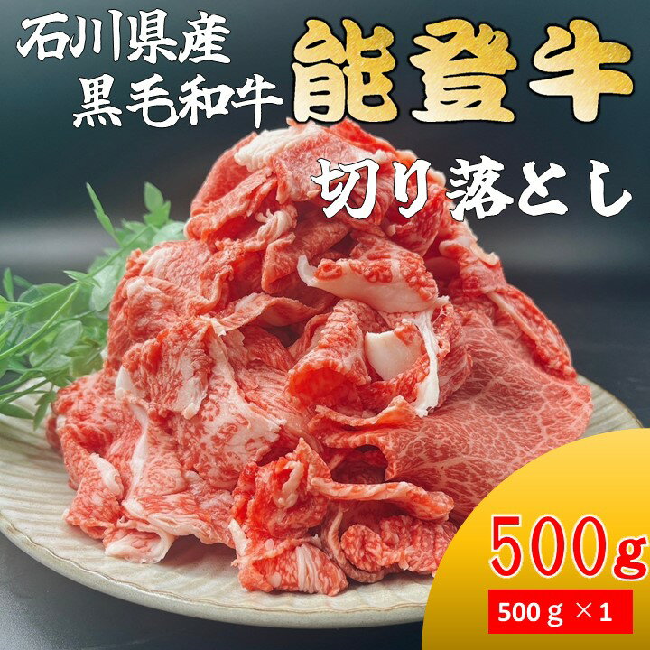 【ふるさと納税】石川県産 能登牛 切り落とし 500g × 1パック | 冷凍便 肉 牛肉 奥能登 能登半島 500グラム 国産 切落し ブランド牛 和牛 黒毛和種 黒毛和牛 送料無料